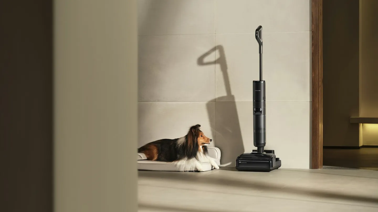 Aspiradora inalámbrica vertical en una sala junto a un perro