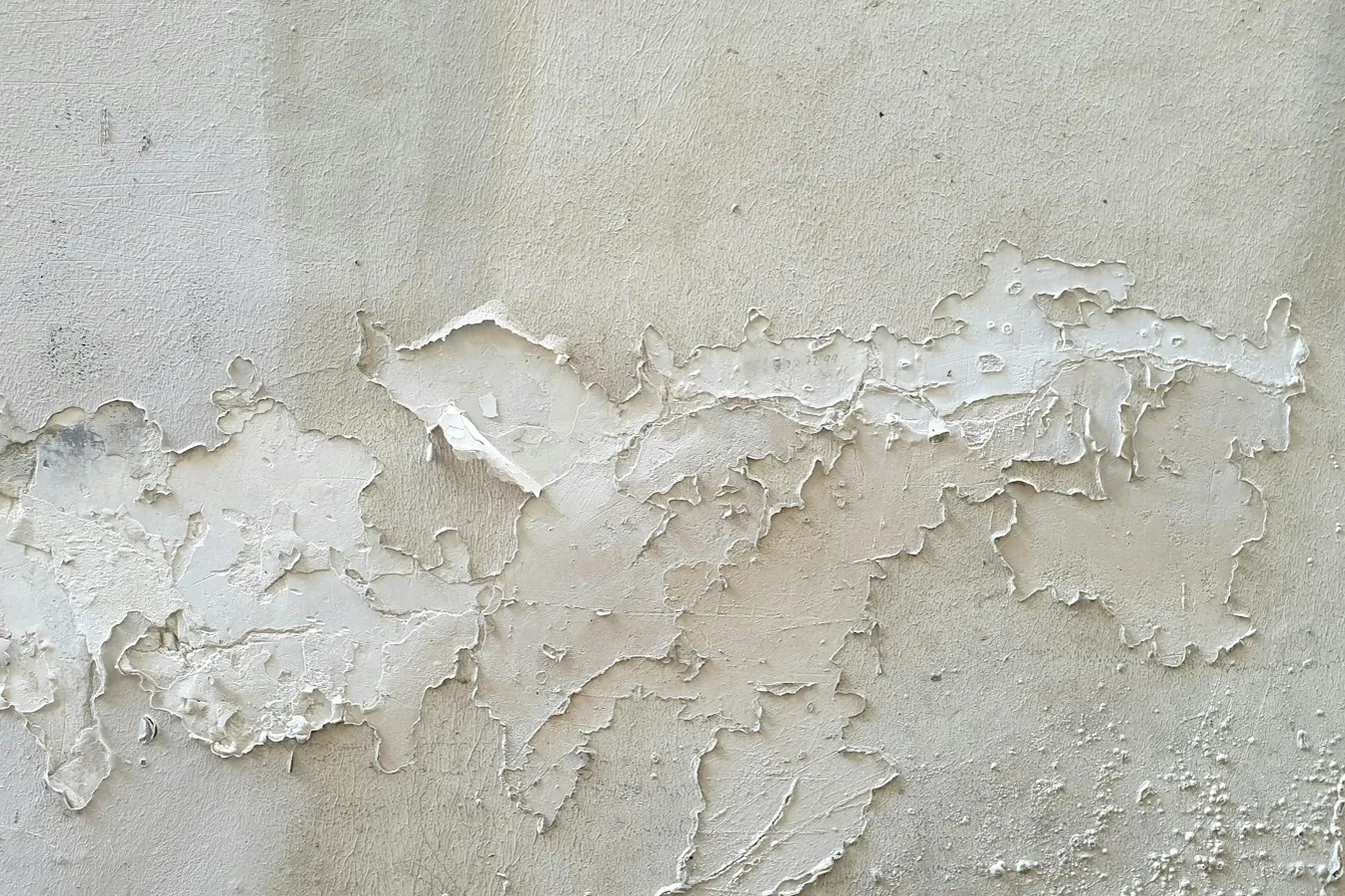 Pintura blanca levantada por humedad en un muro