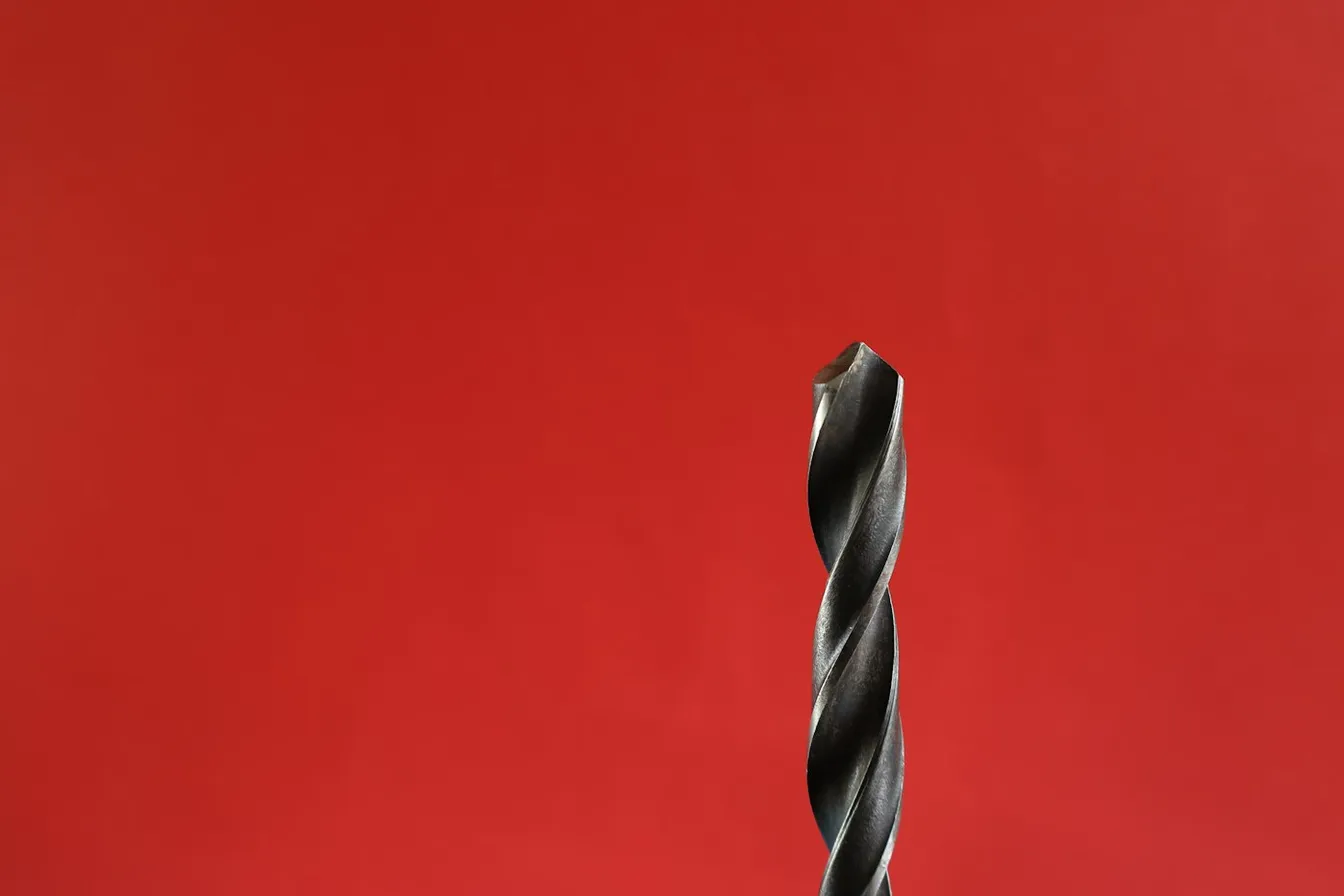 Broca sobre un fondo rojo