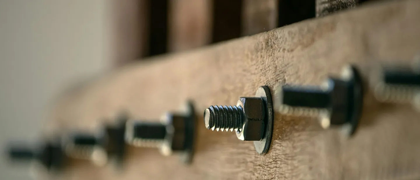 Primer plano de tornillos de distintos tamaños