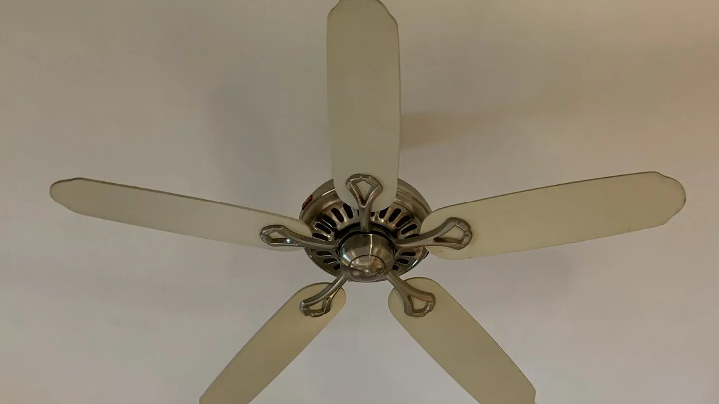 Ventilador de techo de cinco aspas claras visto desde abajo